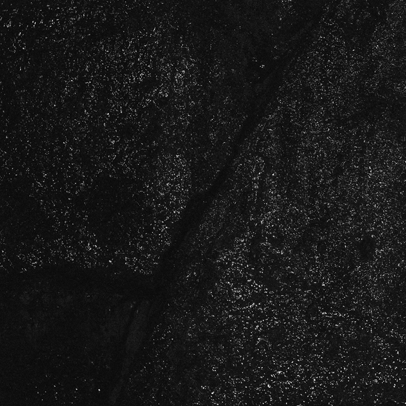 Order of Noise album cover