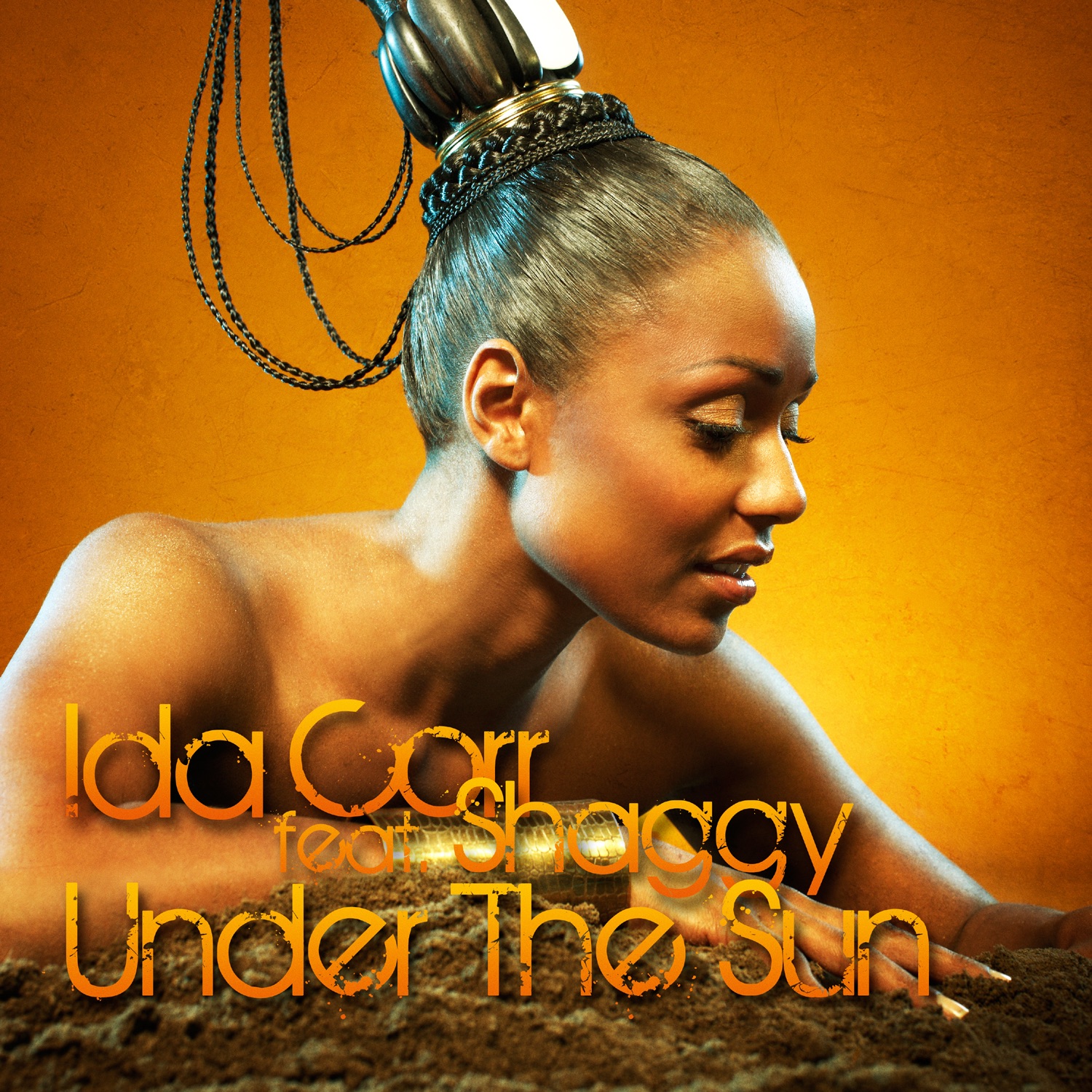 Under the Sun (feat. Shaggy) album cover