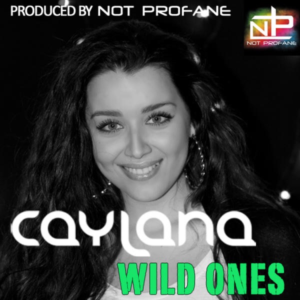 Wild Ones - Single album cover