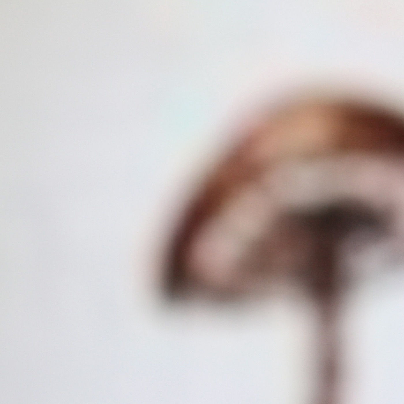 For / Not For John Cage album cover