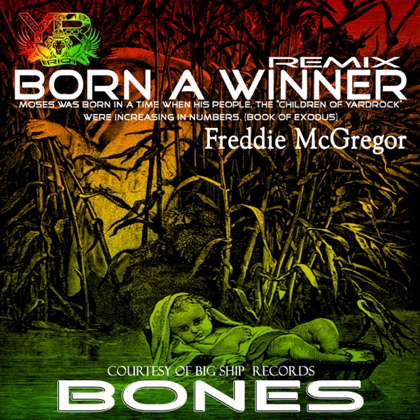 Born a Winner (Bones Remix) - Single album cover