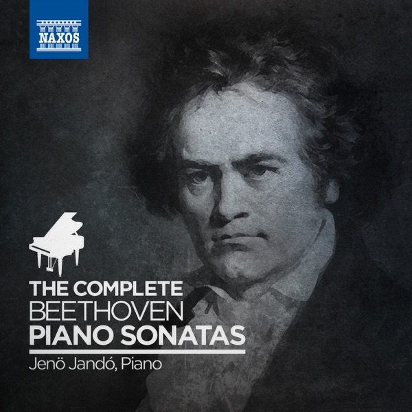 Beethoven: Complete Beethoven Piano Sonatas (Virtual Box Set) album cover