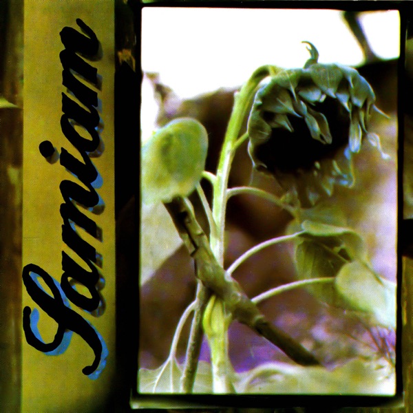 Samiam album cover