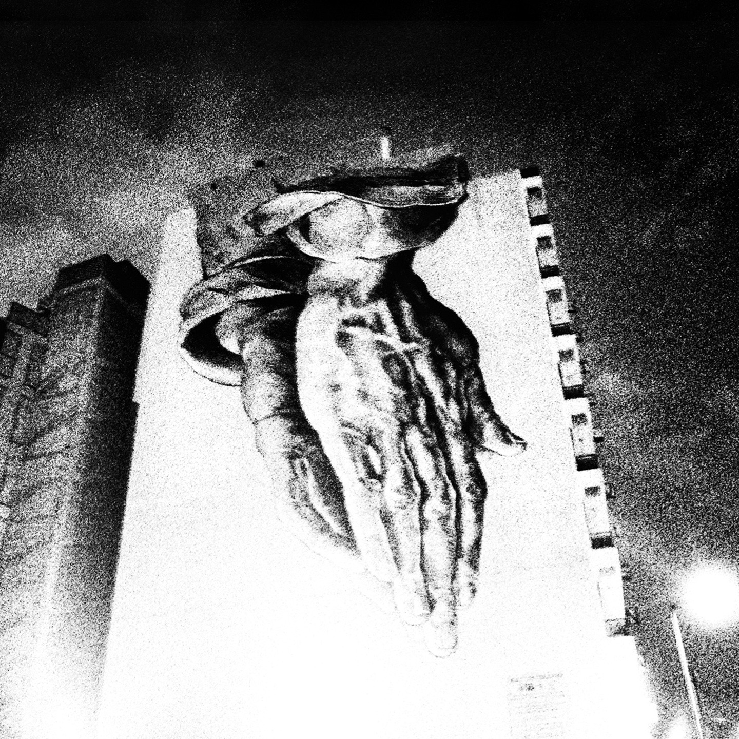 Oiseaux-Tempête album cover