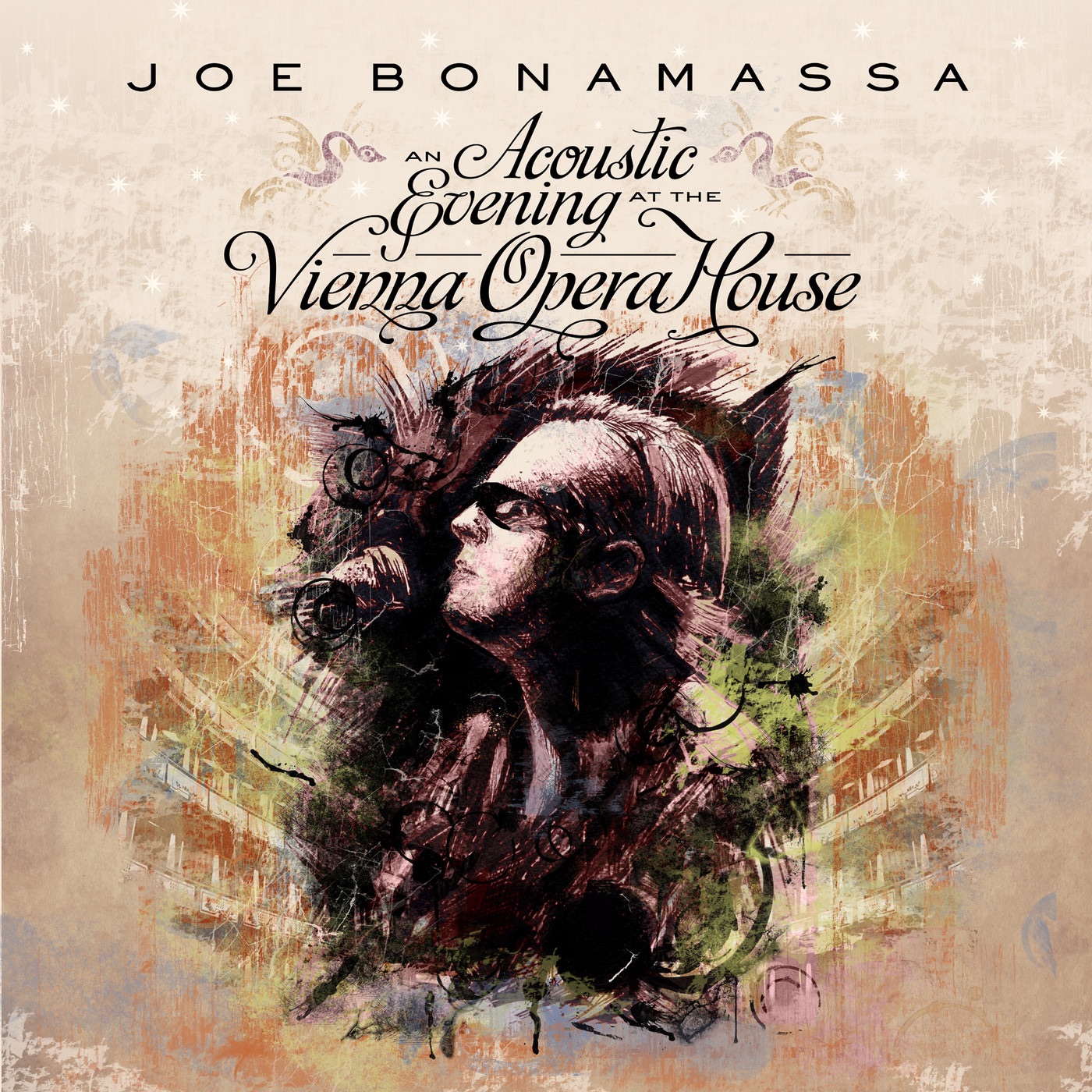 An Acoustic Evening at the Vienna Opera House (Live) album cover