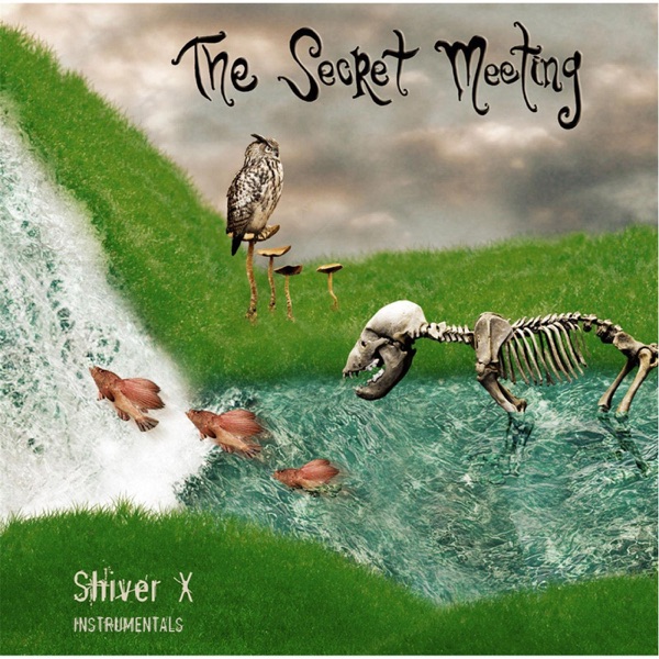 Shiver X (Mostly Instrumentals) album cover