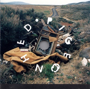 Pigeonhed album cover