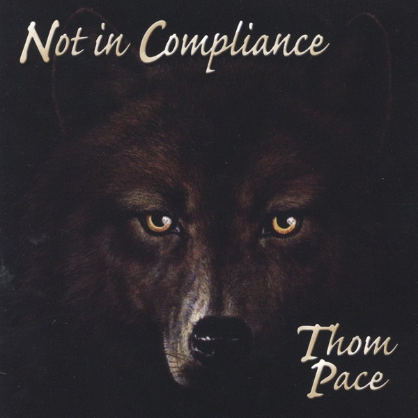 Not in Compliance album cover