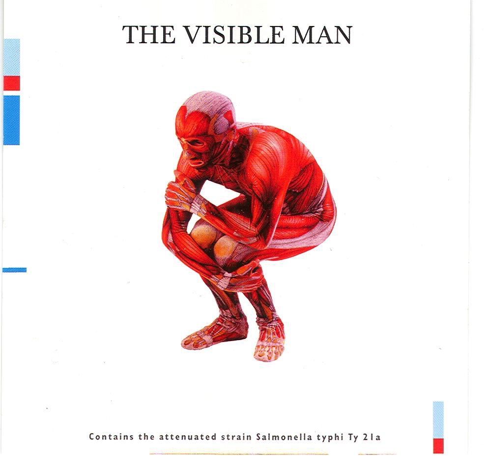 The Visible Man album cover