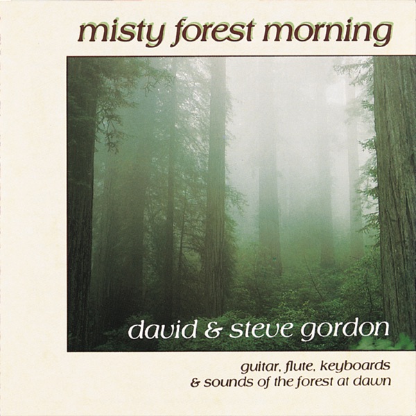 Misty Forest Morning album cover