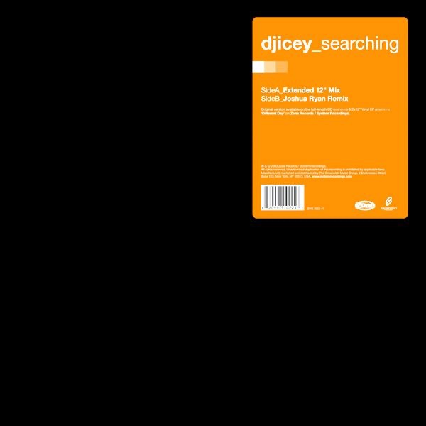 Searching - Single album cover