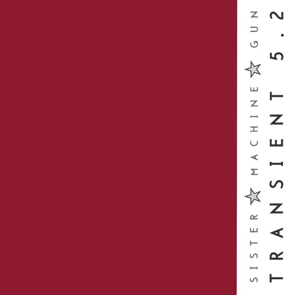 Transient 5.2 album cover