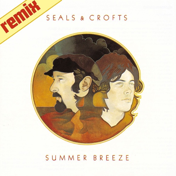 Summer Breeze (Remix) - Single album cover