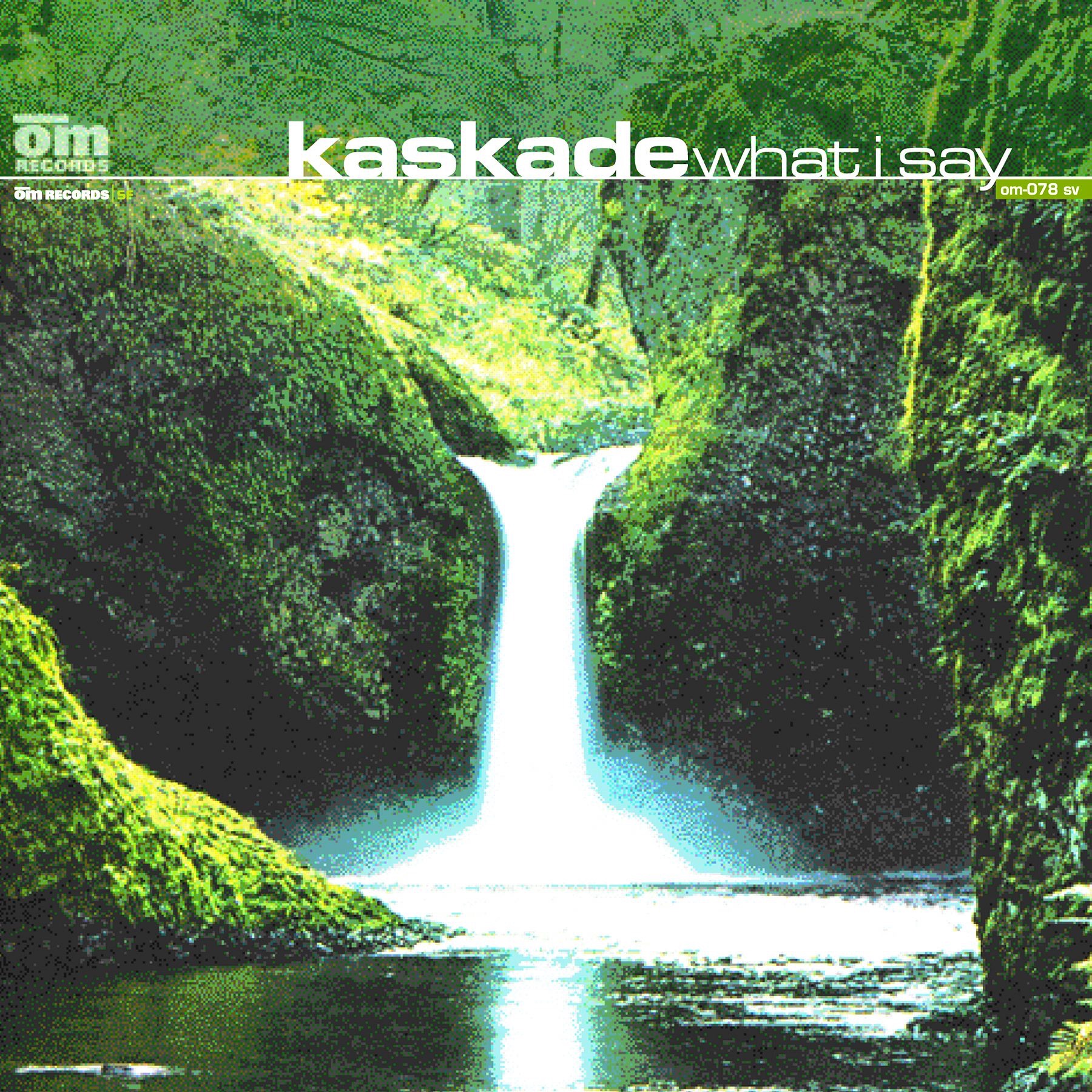 What I Say - Single album cover