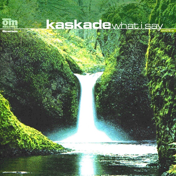 What I Say - Single album cover