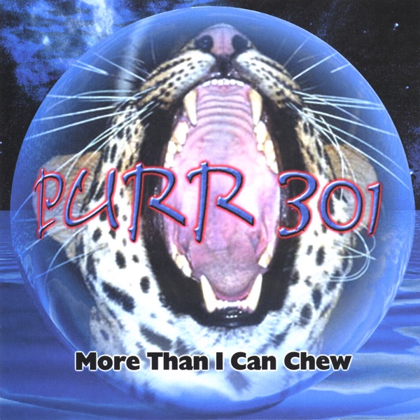 Purr 301, More Than I Can Chew album cover