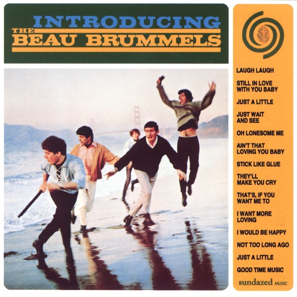 Introducing the Beau Brummels album cover