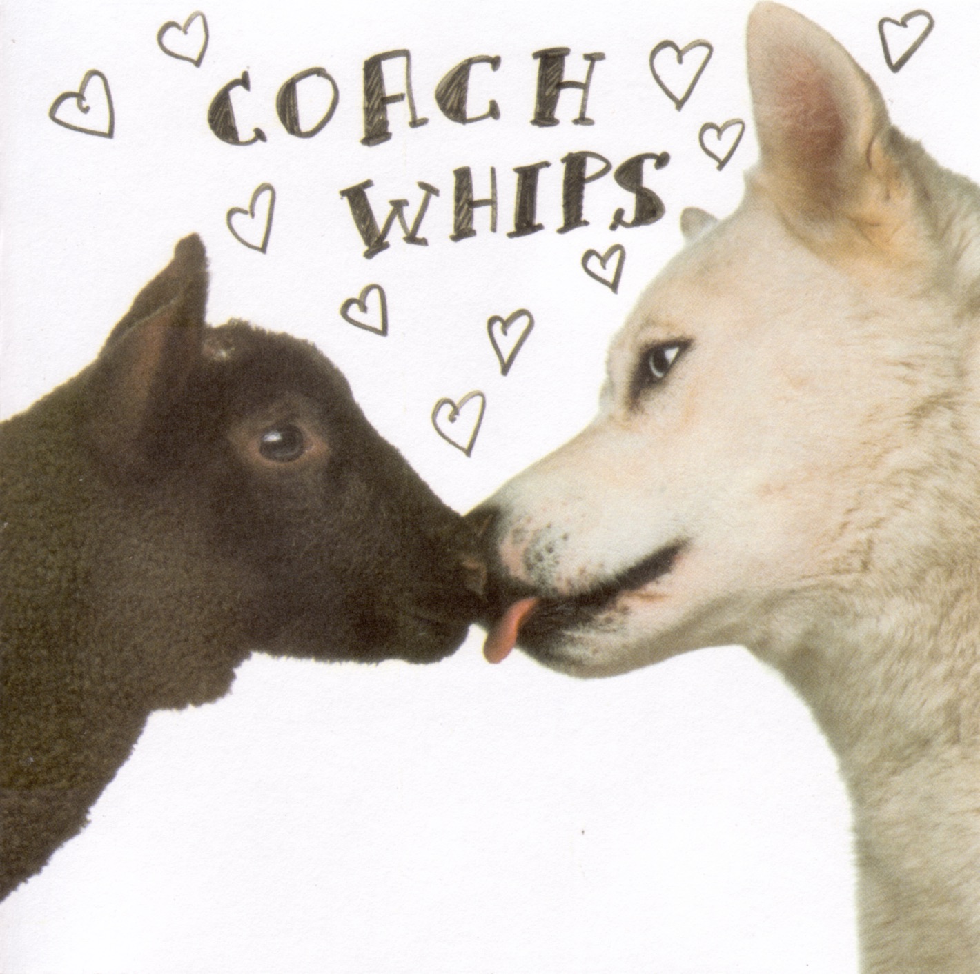 Bangers vs. F*****s album cover