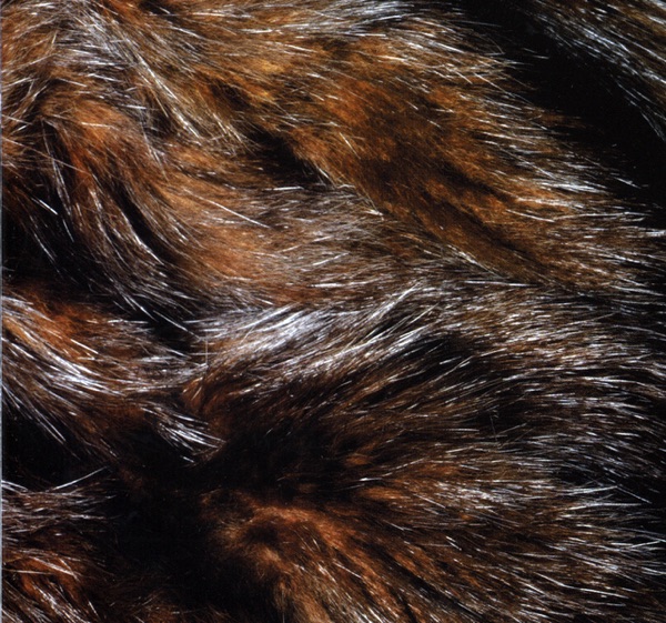 Forty Years to Find a Voice album cover