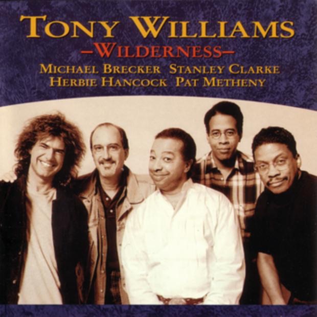 Wilderness album cover