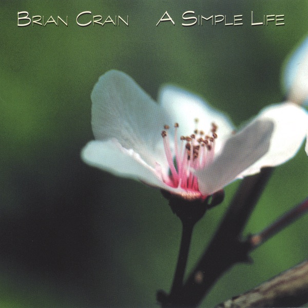 A Simple Life album cover
