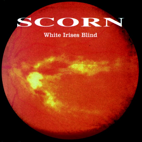White Irises Blind album cover