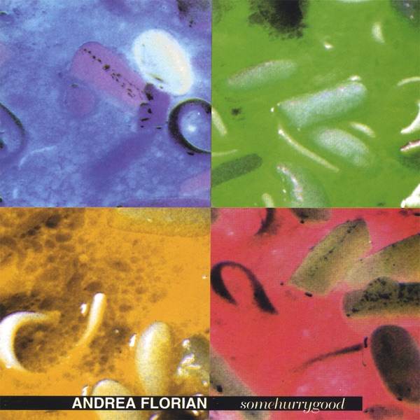 Somehurrygood album cover