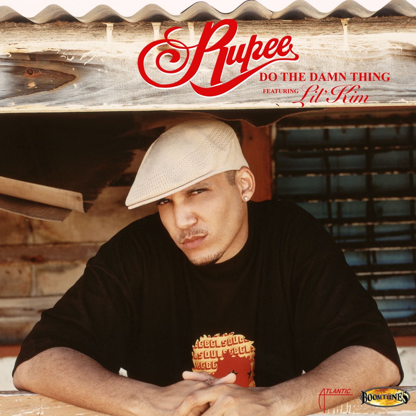 Do the Damn Thing (feat. Lil' Kim) [Radio Edit] - Single album cover