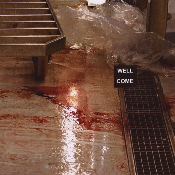 Wellcome album cover