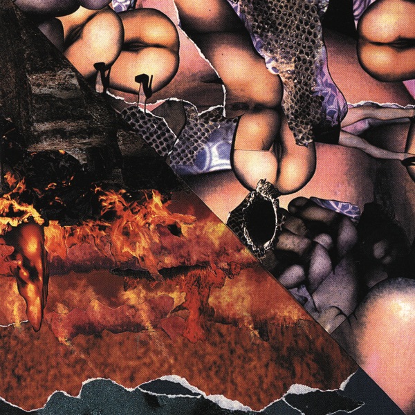 Origin of the Species Volume Too! - Fourth Tablet of Acid album cover