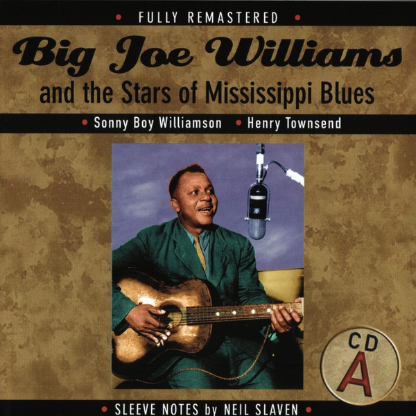 Big Joe Williams and the Stars of Mississippi Blues album cover