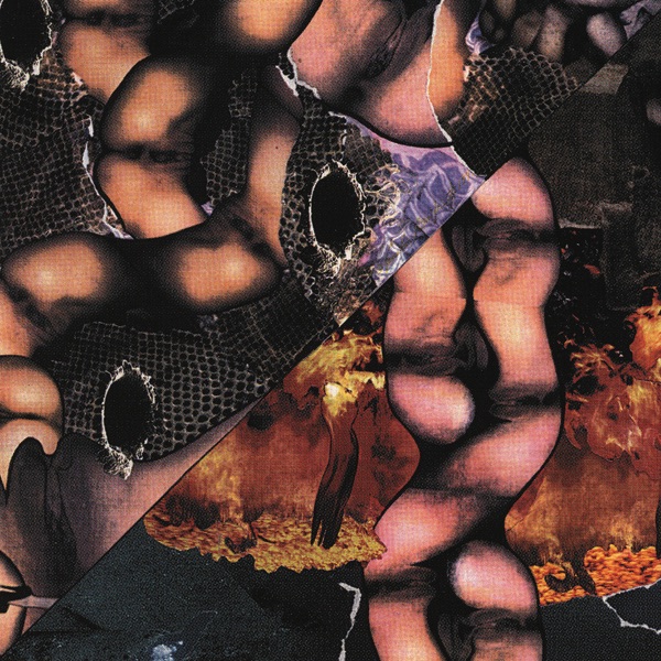 Origin of the Species Volume Too! - Third Tablet of Acid album cover