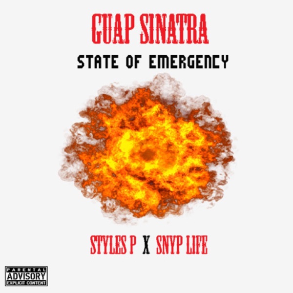 State of Emergency (feat. Styles P & Snyp Life) - Single album cover