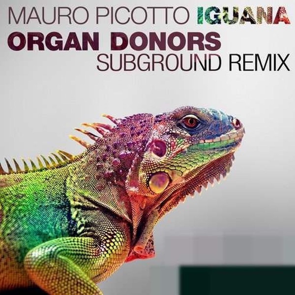 Iguana (Organ Donors Subground Remix) - Single album cover