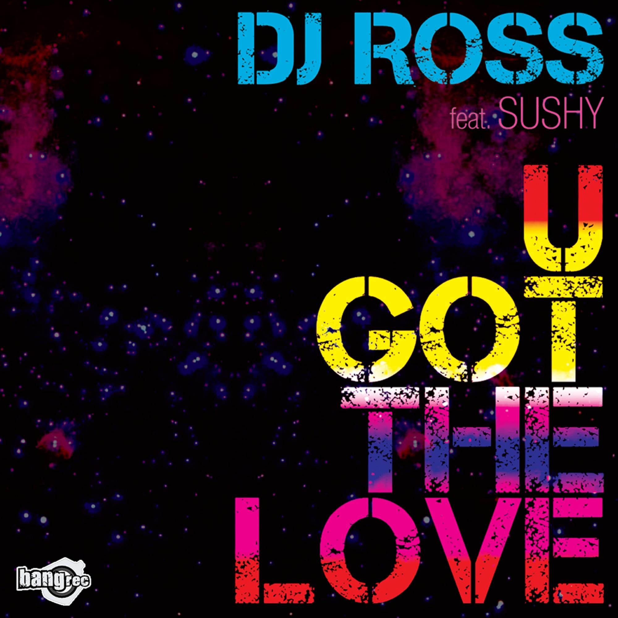 U Got the Love (feat. Sushy) album cover