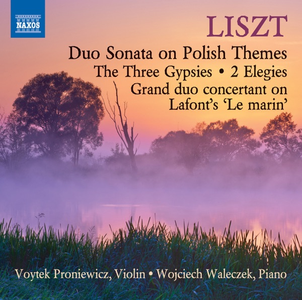 Liszt: Works for Violin & Piano album cover