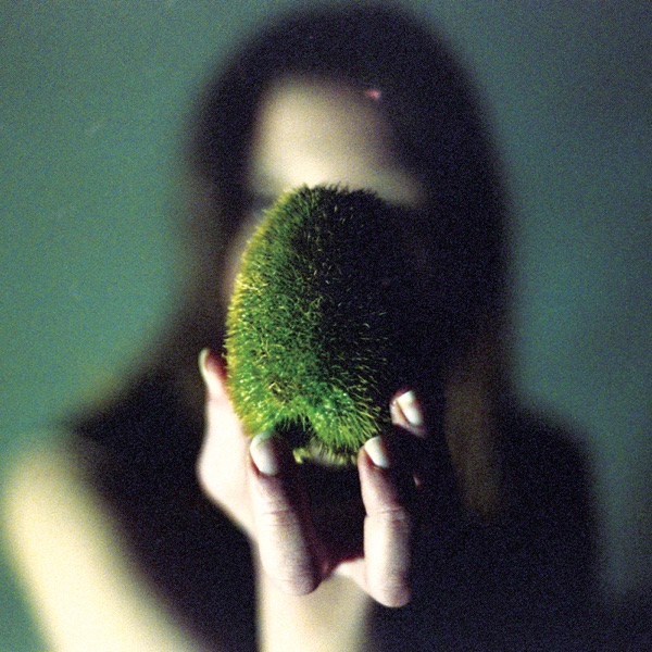 In Plain Speech album cover