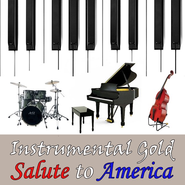 Salute to America: Patriotic Songs of America album cover