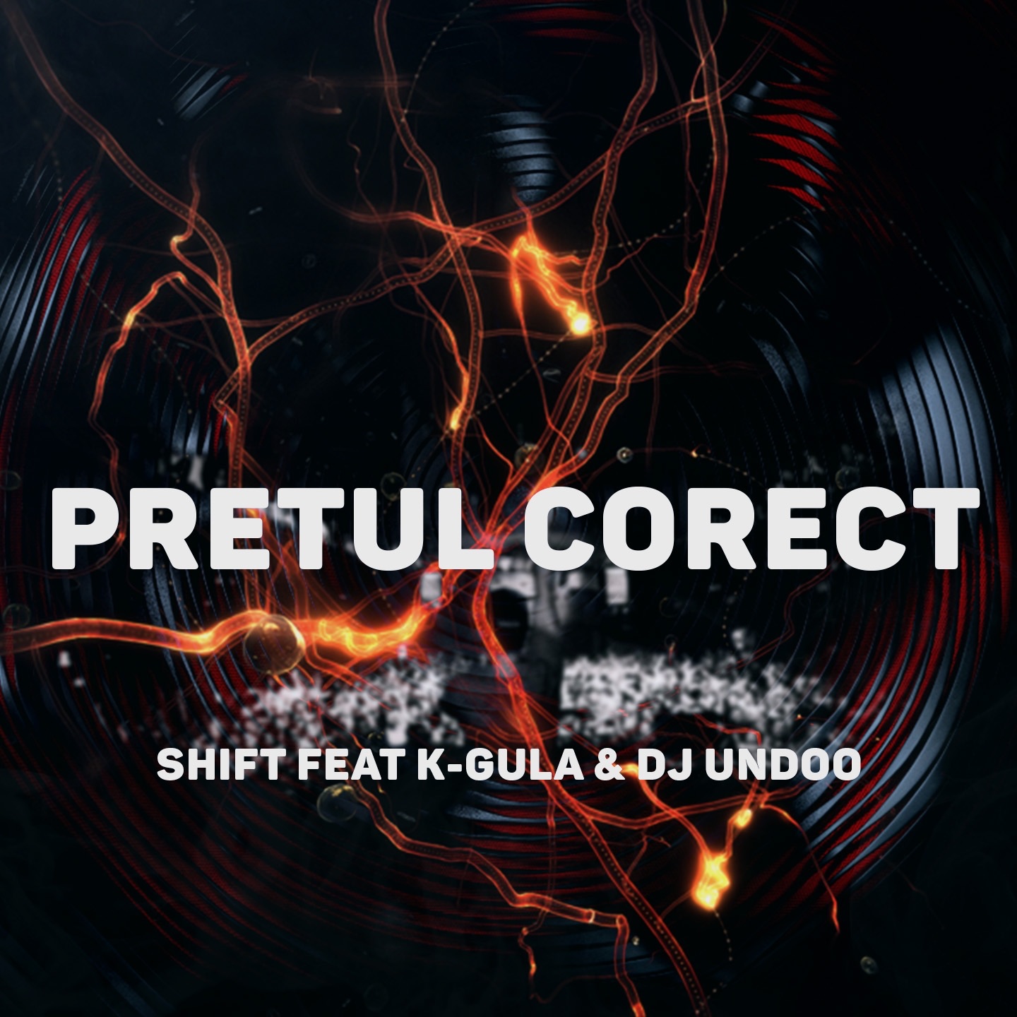 Pretul Corect (feat. K-Gula & DJ Undoo) - Single album cover