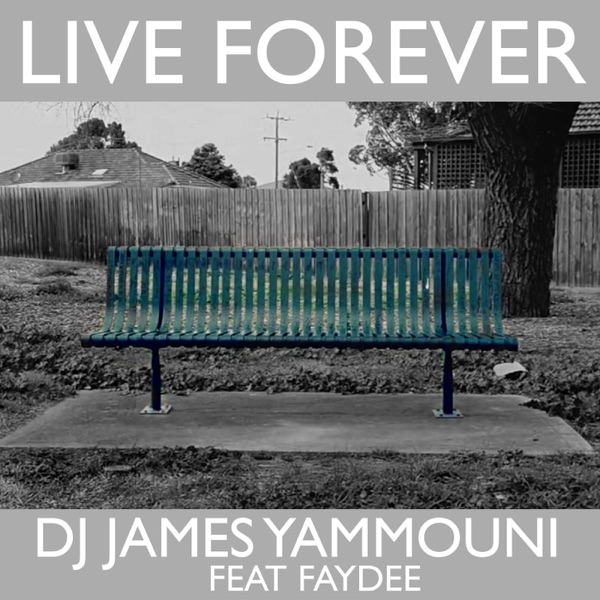 Live Forever (feat. Faydee) - Single album cover