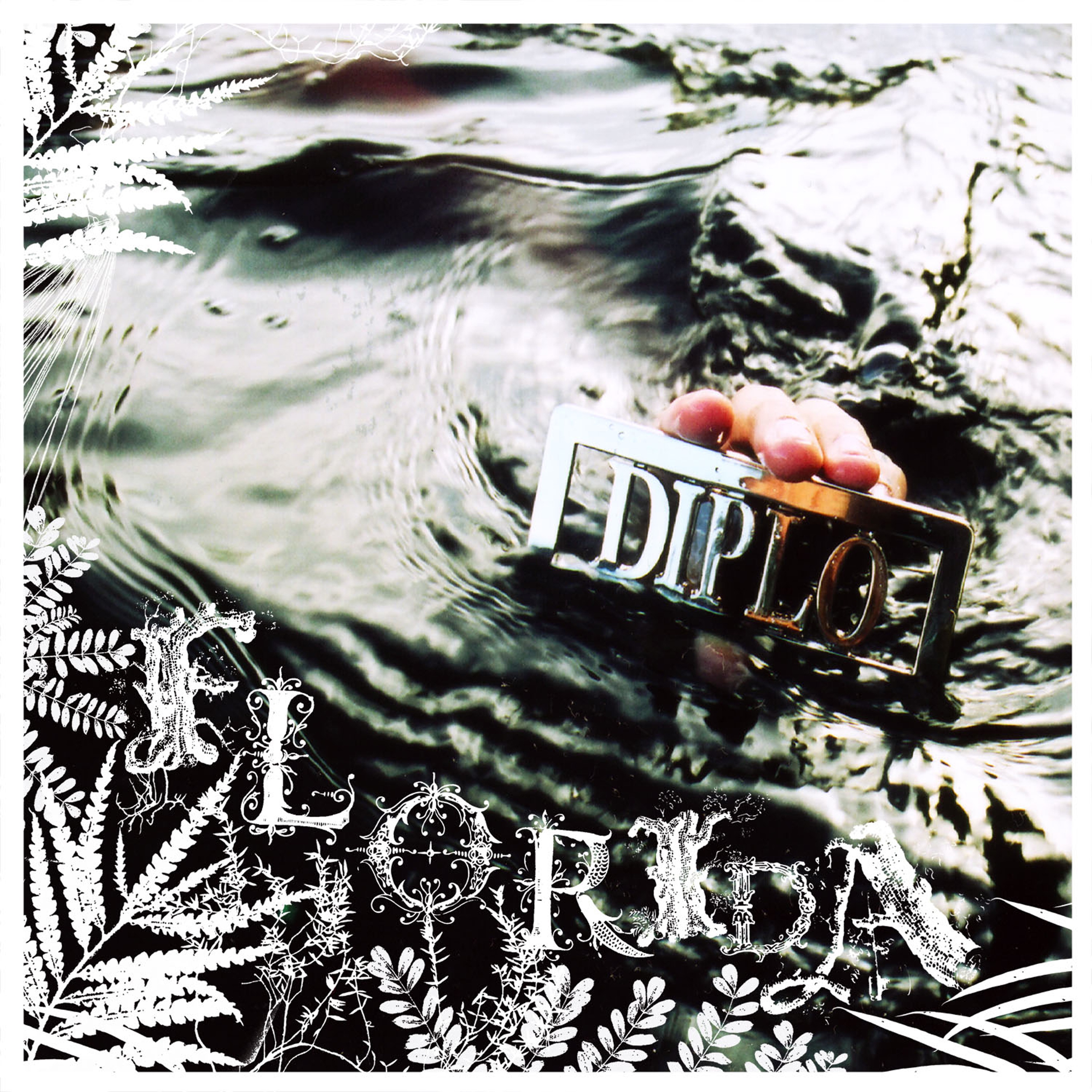 Florida album cover