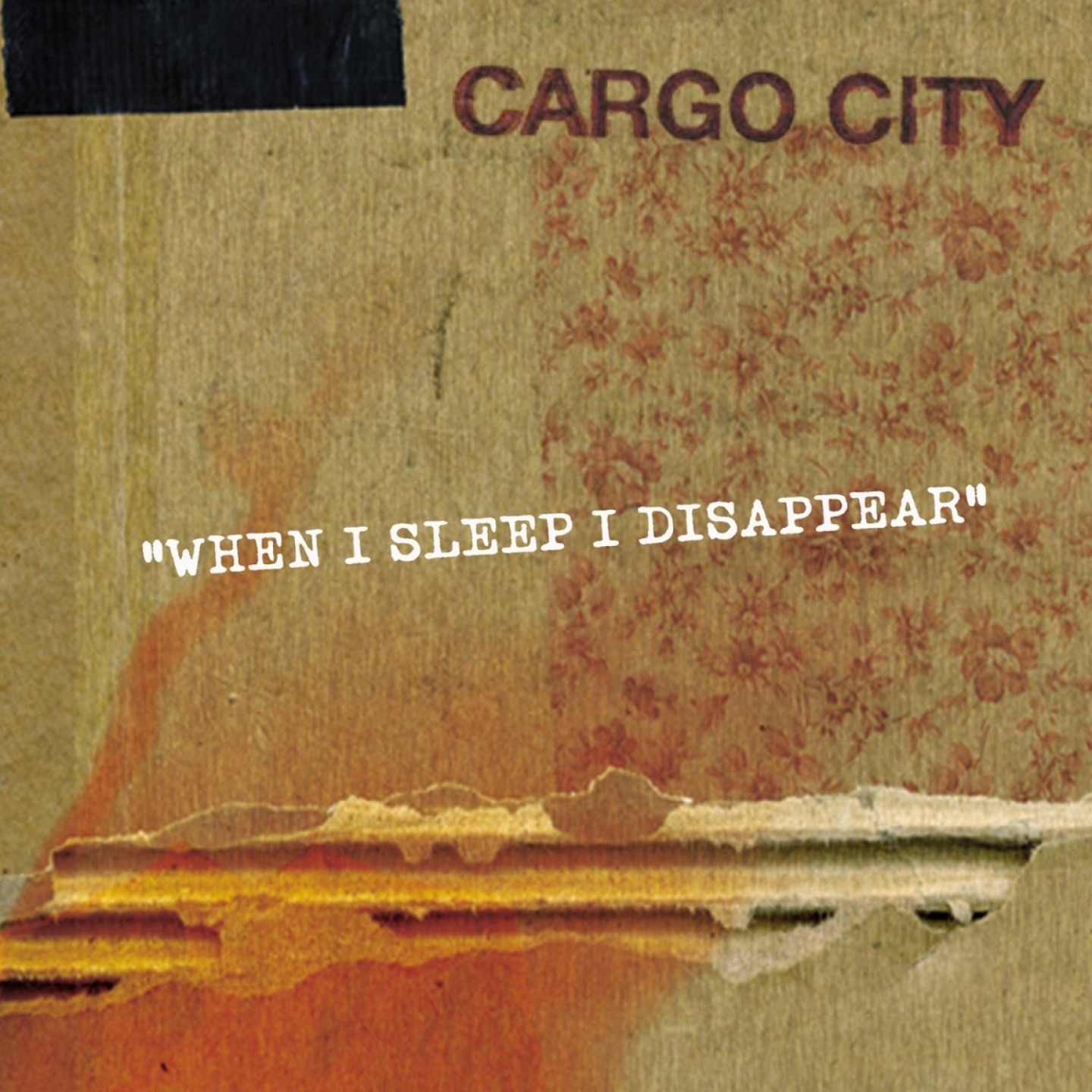 When I Sleep I Disappear - EP album cover