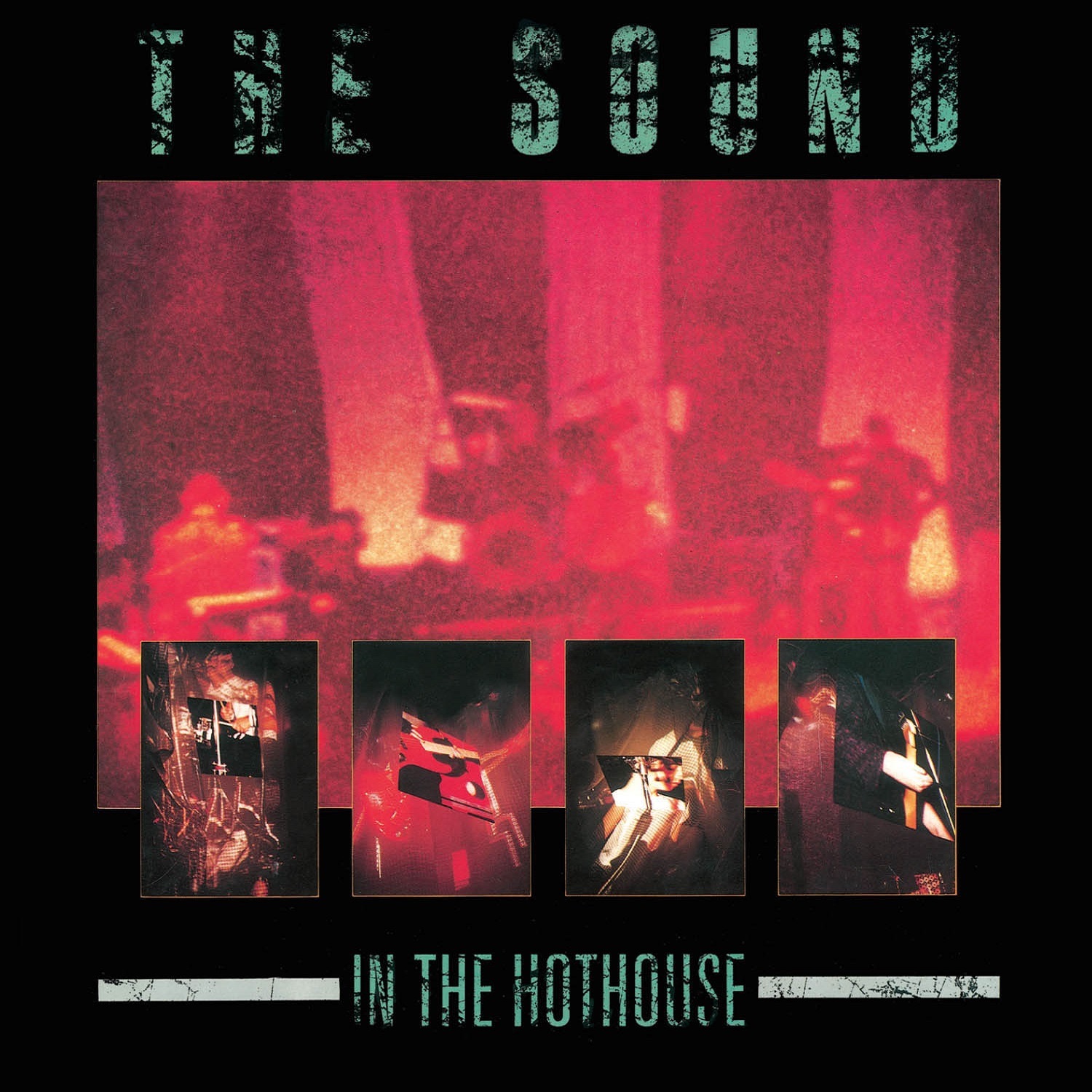In the Hothouse (Live) album cover