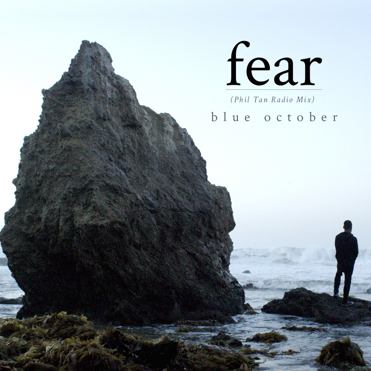 Fear - Single album cover