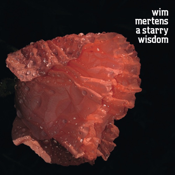 A Starry Wisdom album cover