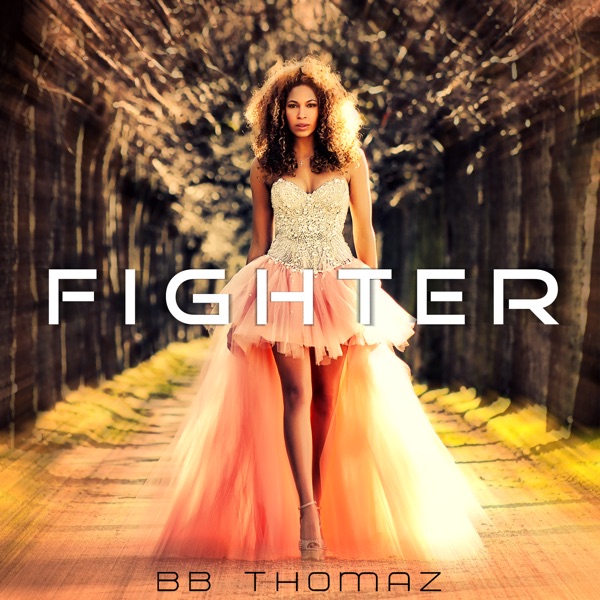 Fighter - Single album cover