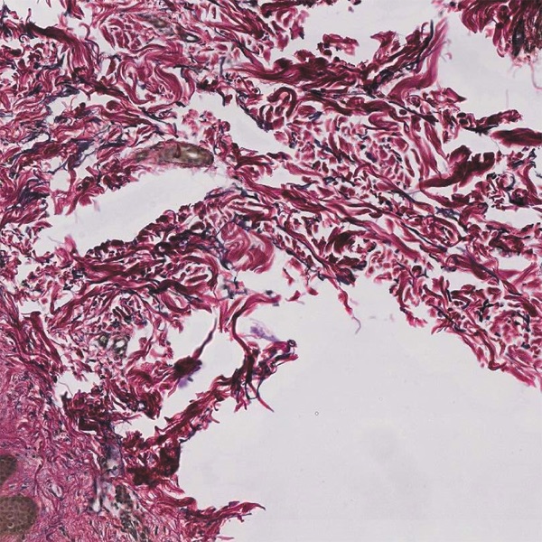 Sorry My Love, It's You Not Me (feat. Lucy Rose) - Single album cover