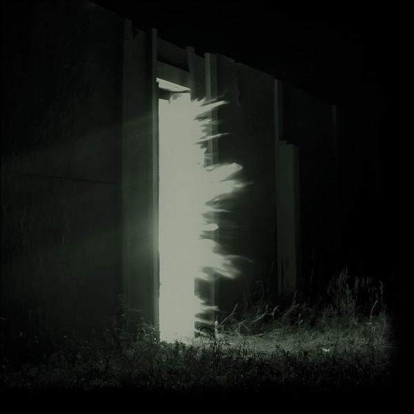 Horizontalism album cover