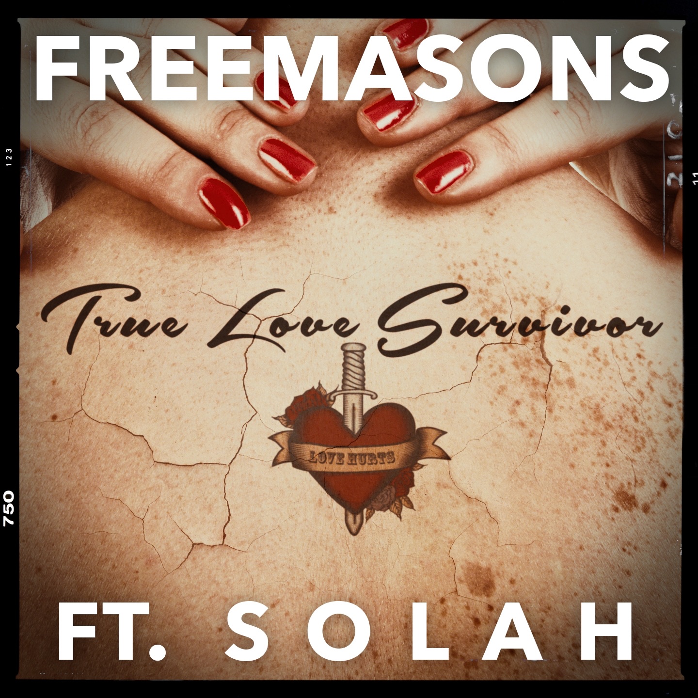 True Love Survivor (feat. Solah) [Remixes] - EP album cover
