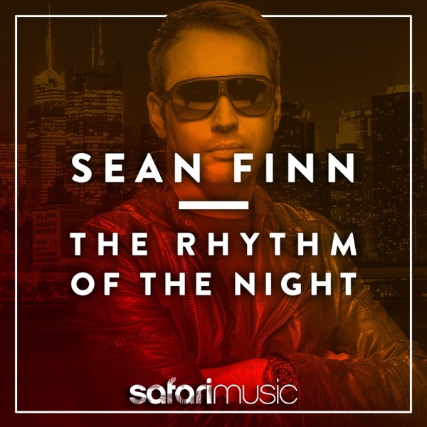 The Rhythm of the Night album cover